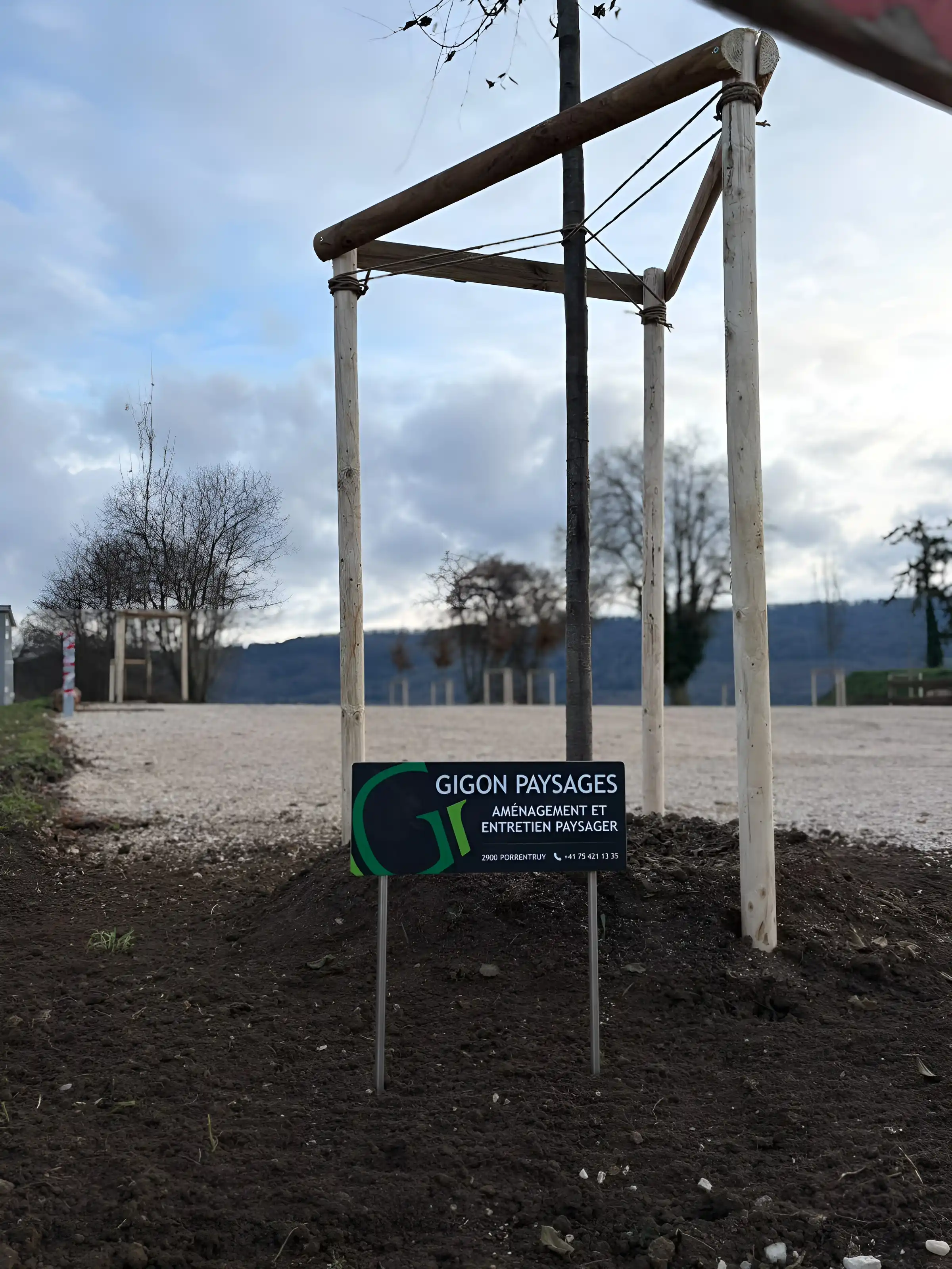 Arbre fraîchement planté avec le panneau de chantier Gigon Paysages