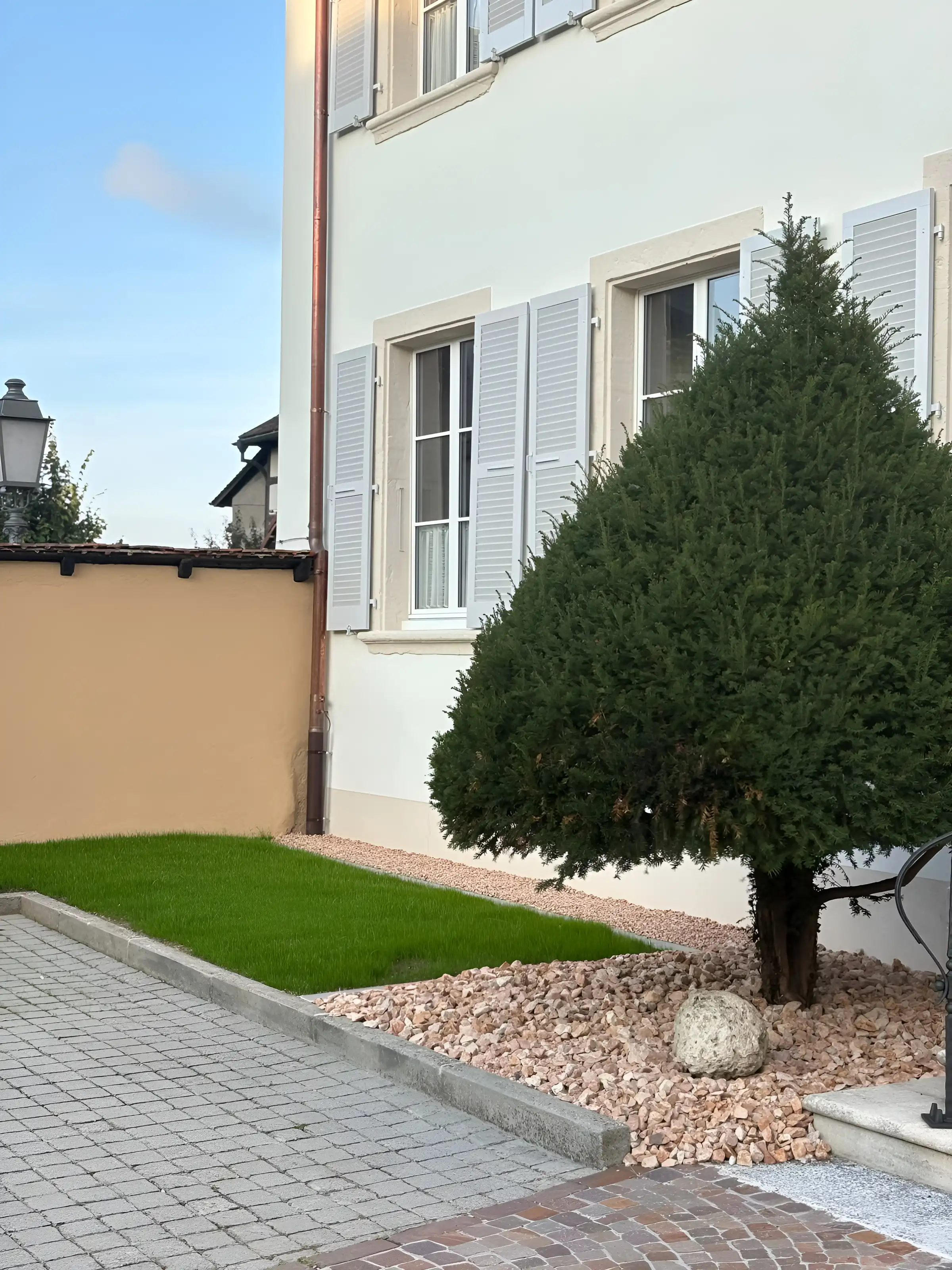 If taillé en cône devant une maison à volets, pavés et gravier