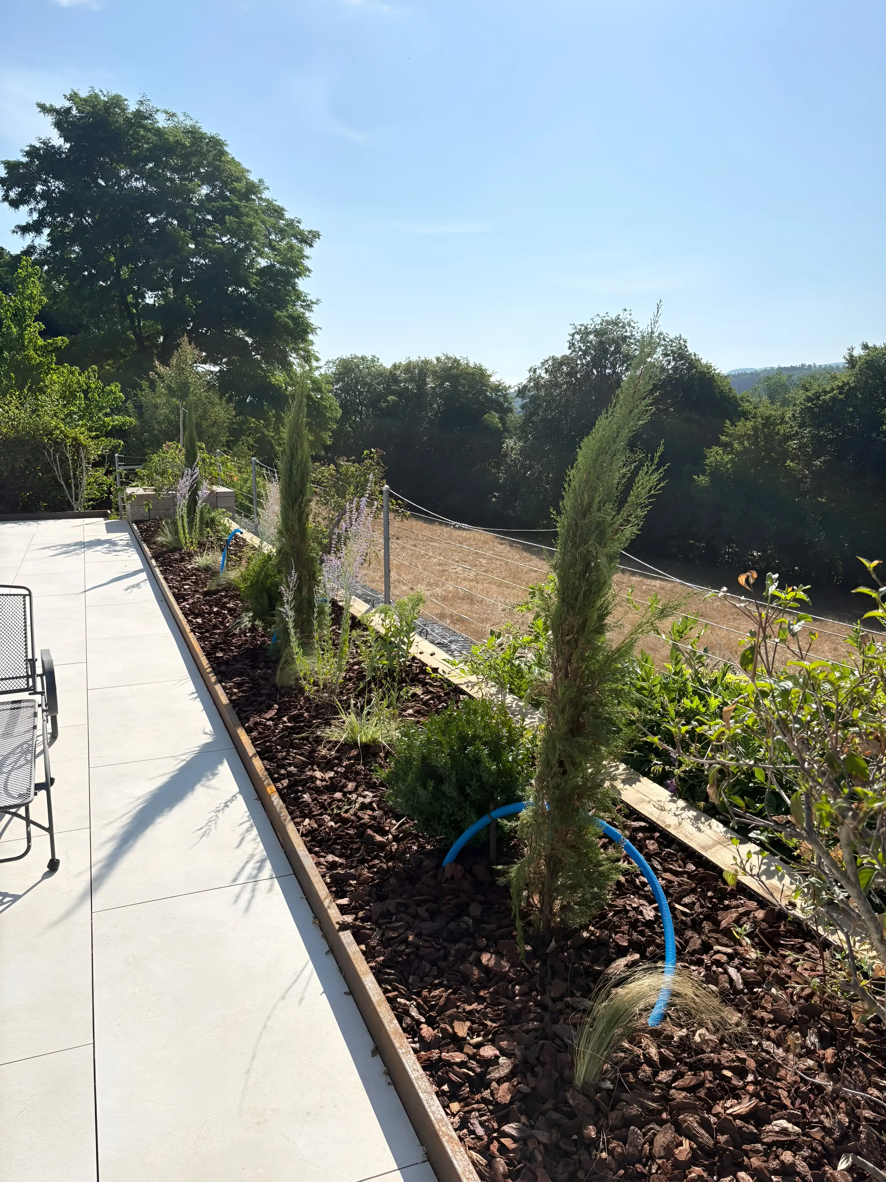 La plate-bande vue depuis la terrasse, cyprès, graminées et paillage